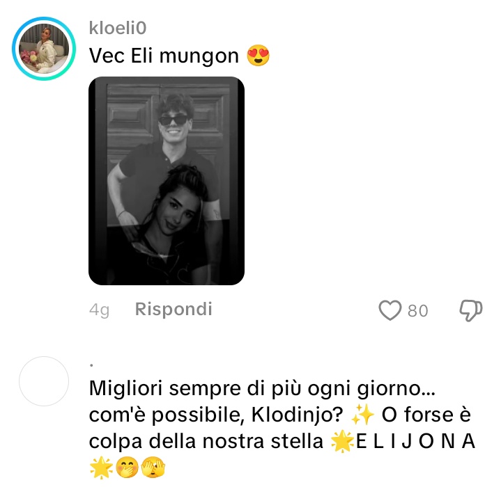 🐻✨🐰 tweet media