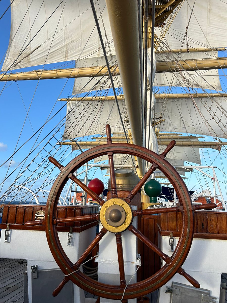 Born2BMild tweet media