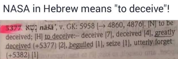 𝗘𝗟🐕⚒️👁️⃤ tweet media