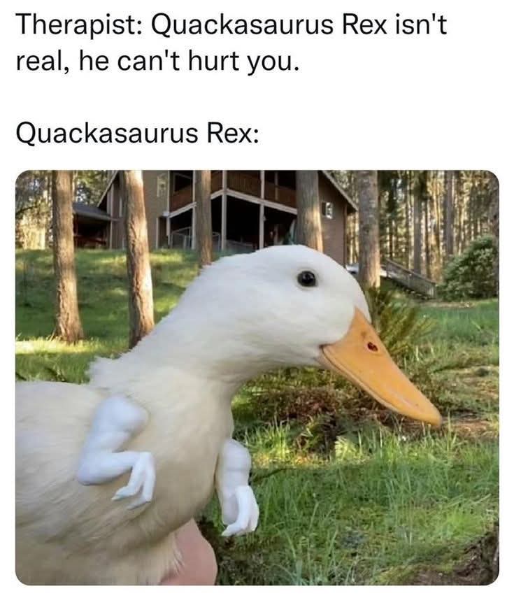 Quackers World (@QuackersWorld) / Posts / X