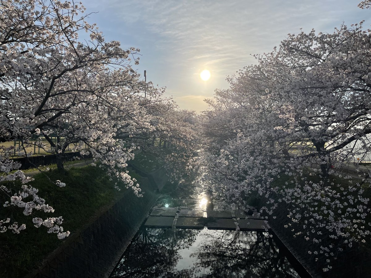 ポポそら tweet media