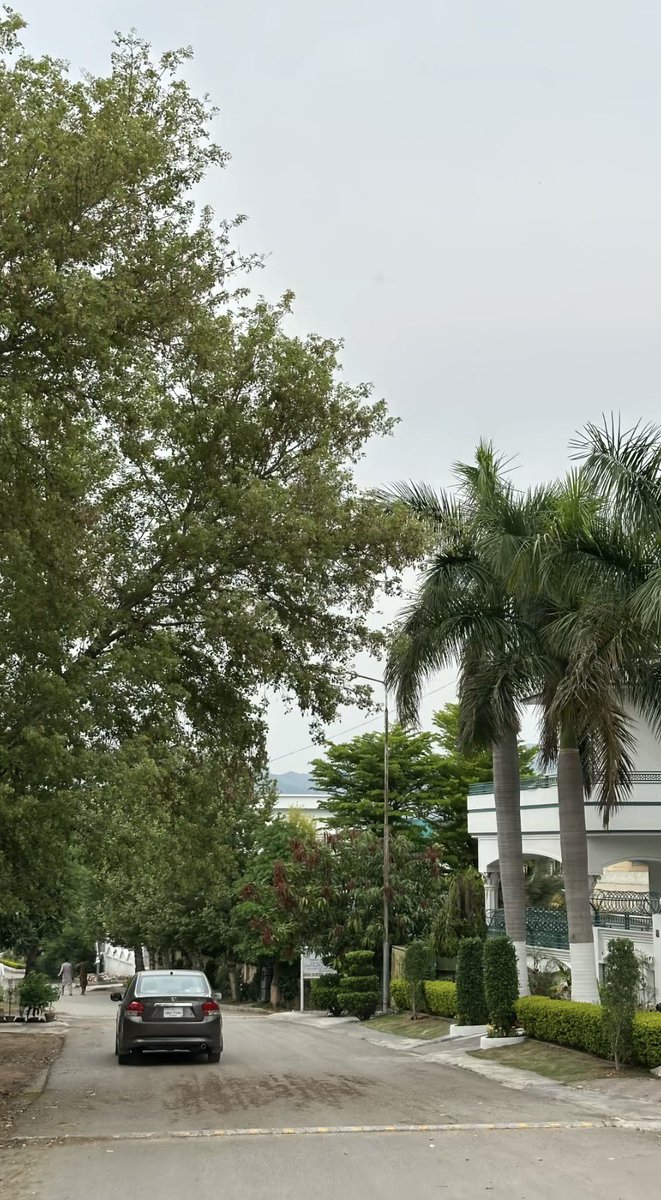 رُمح 🎯 tweet media