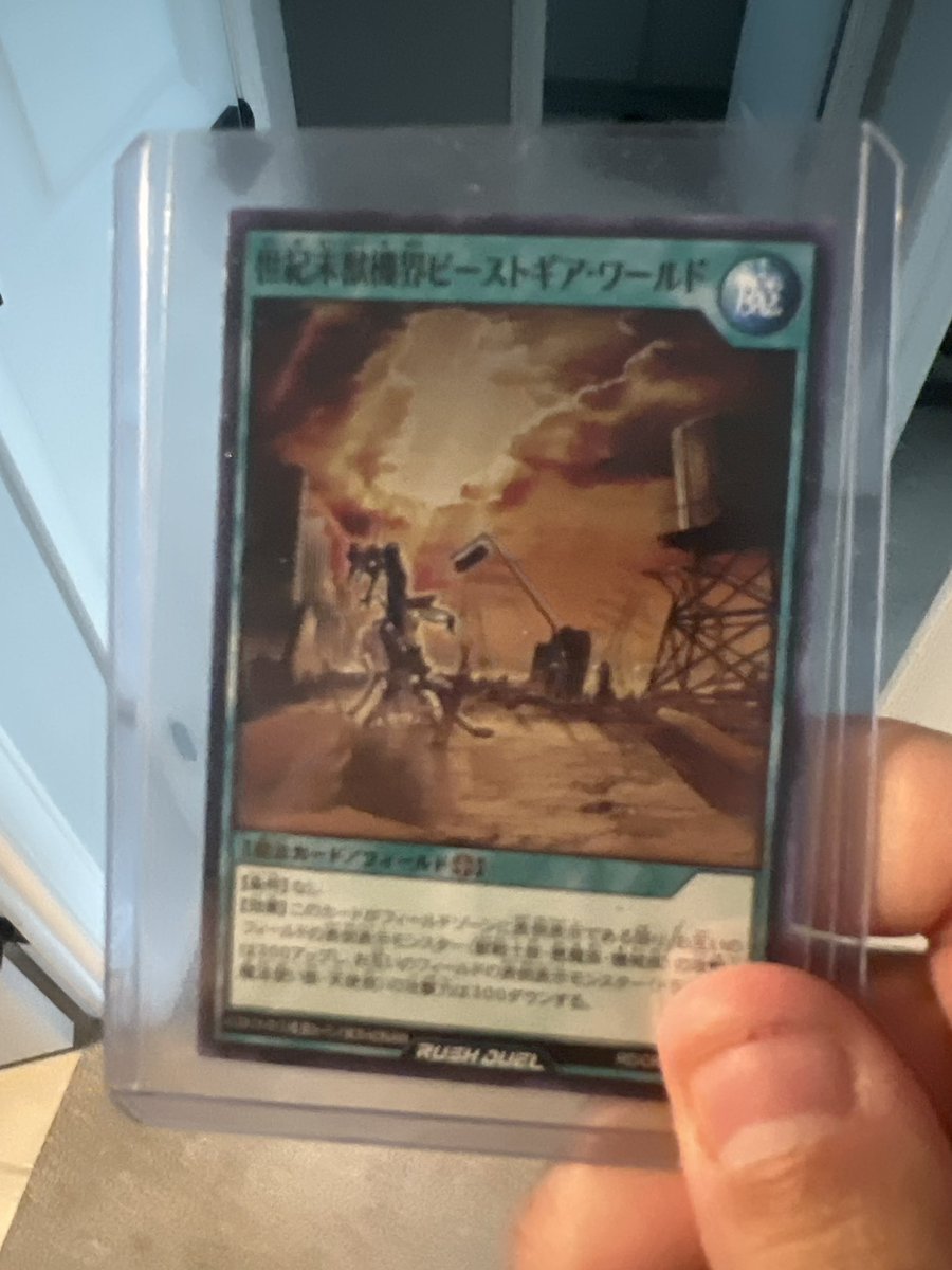 Matthew Rizk tweet media