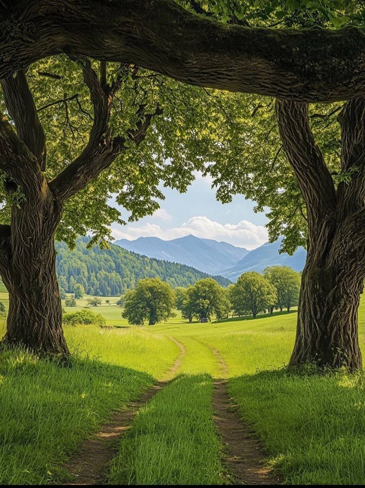 Purely Green tweet media