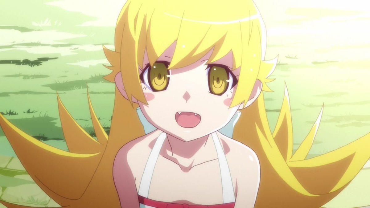 迷猫/まよねこ(低浮上) tweet media