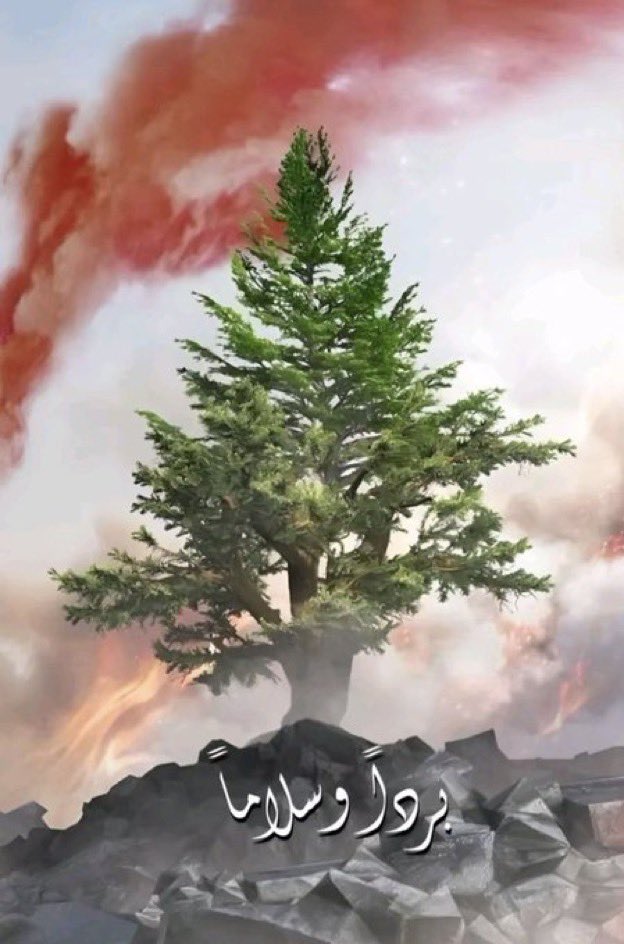 BoooM - الشطيه 🌼 tweet media