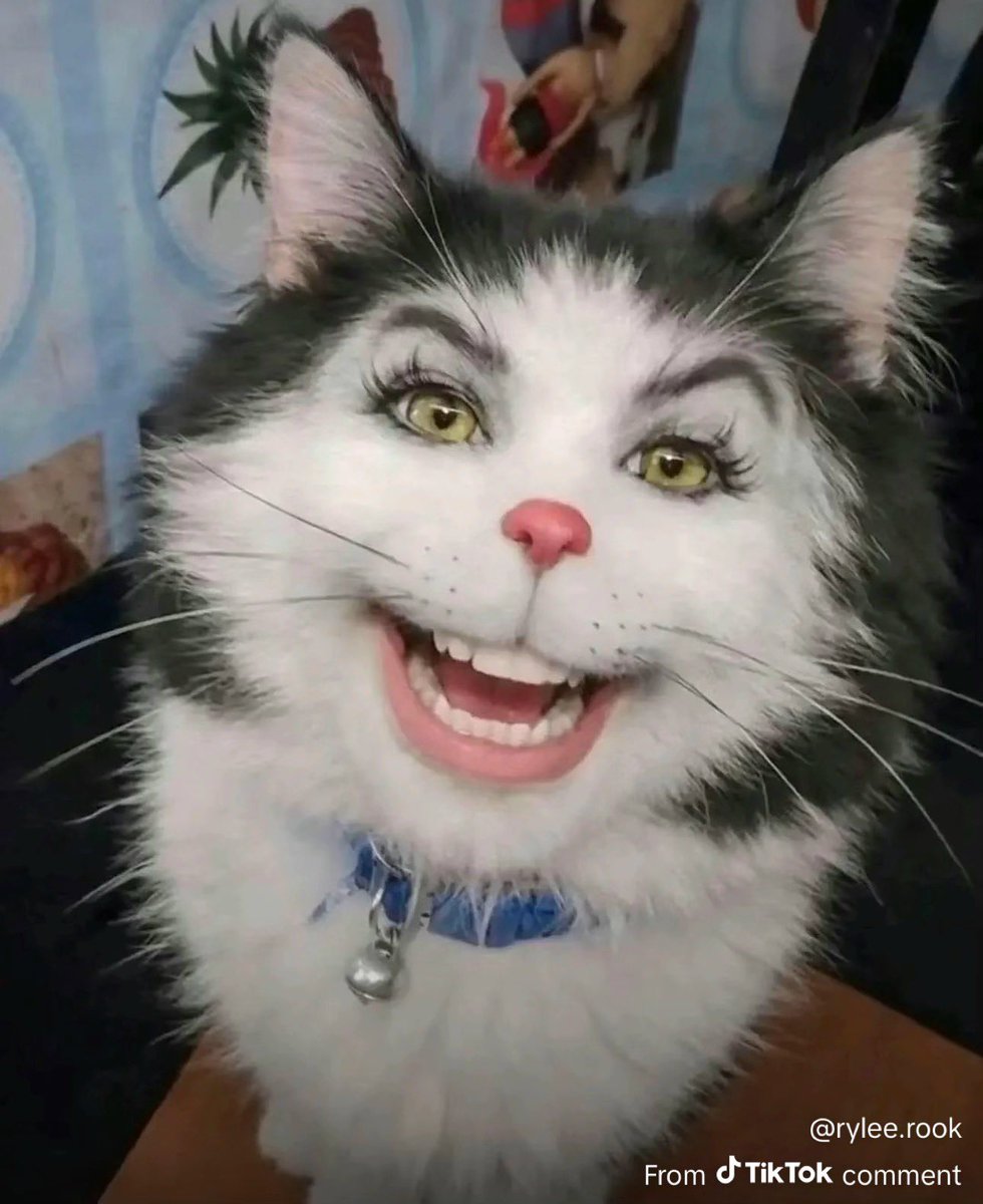 👑RealGoldenDogz👑 🔜 FWA tweet media