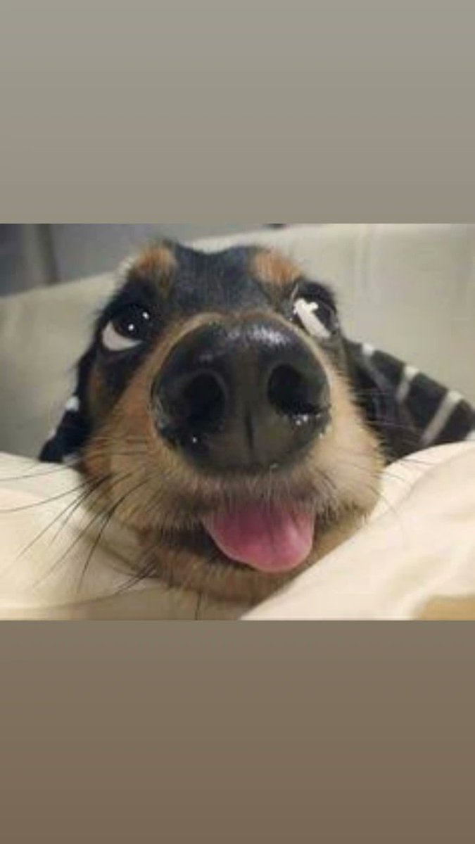 Love yacho yave 4th chimurenga😭😭😂