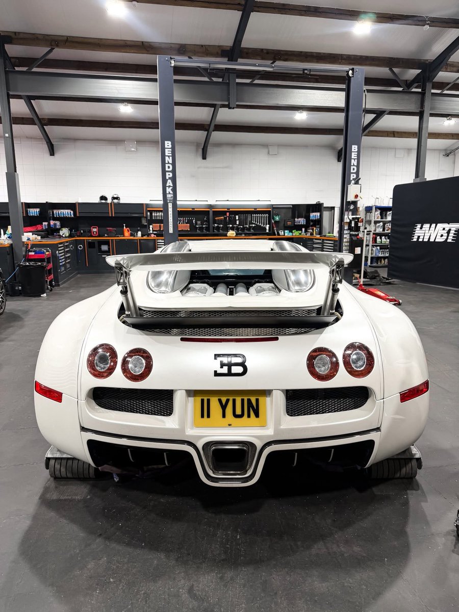 Malcom 🚀 tweet media