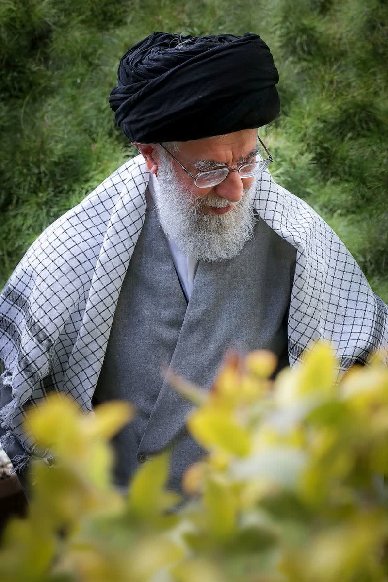 Fateme3118's tweet photo. چهل روز چگونه سر شد با دلتنگی برای پدر
#جانفدا
#اربعین_خورشید https://t.co/e0MjDoiF5P
