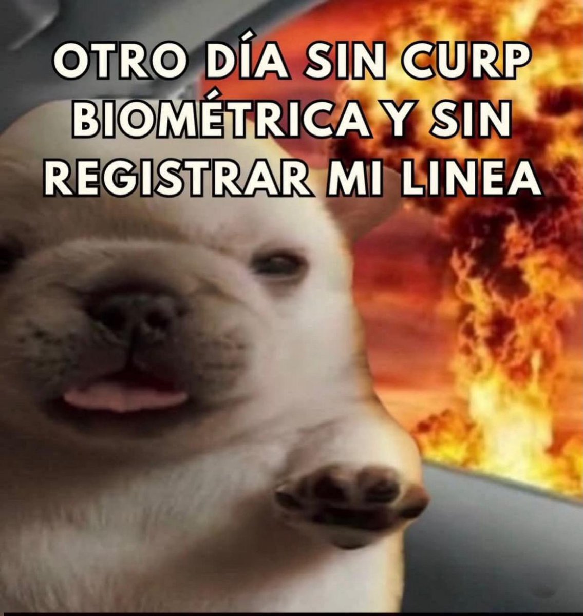 Laura Brugés tweet media