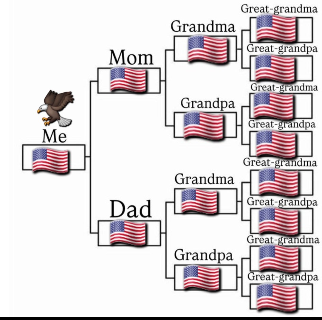 Sakazuki 🌋 tweet media