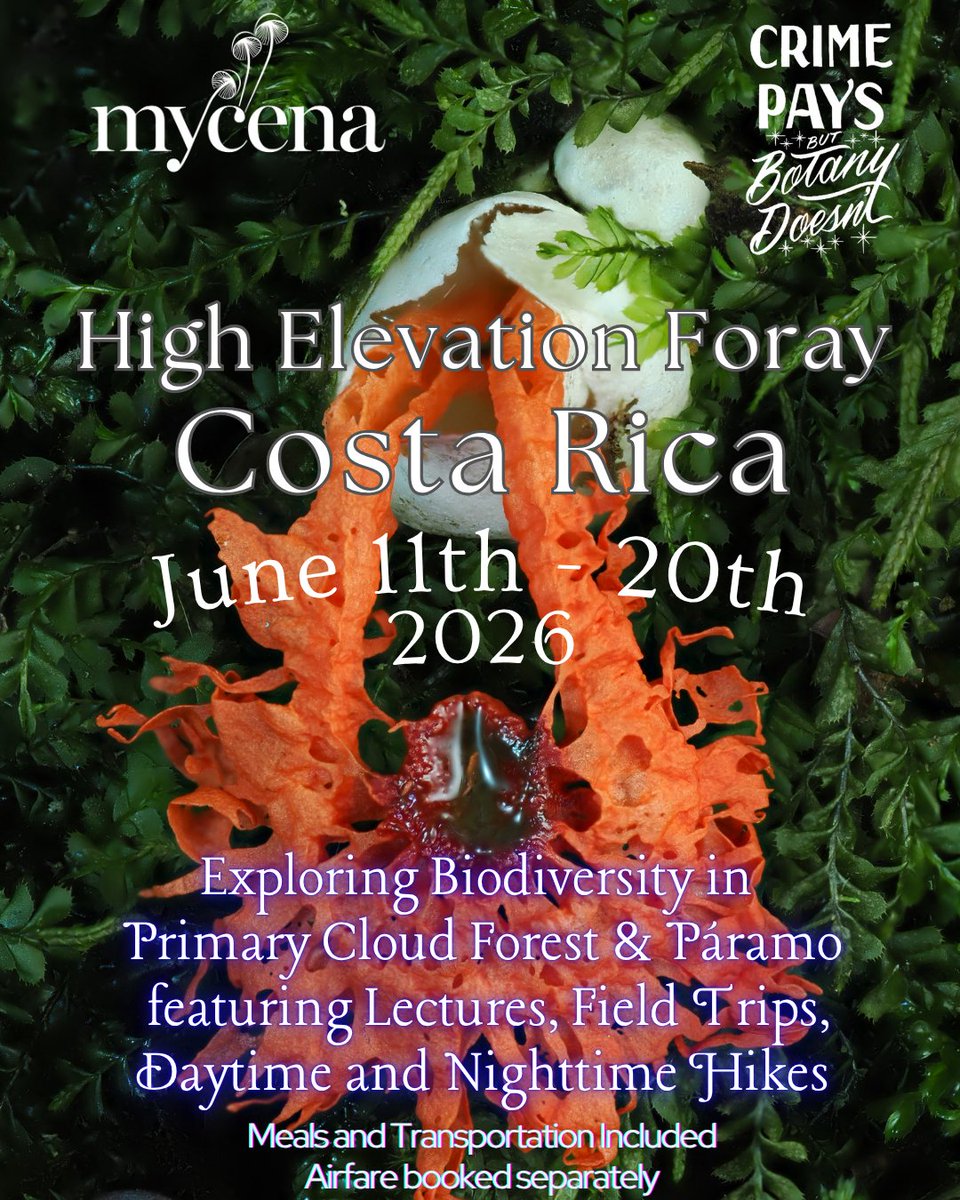 AlanRockefeller's tweet photo. This Costa Rica trip starts in 64 days!   We will be exploring the biodiversity of high elevation páramo &amp; medium elevation cloud forest habitats.

More info:   https://t.co/w87jwcKfKV https://t.co/jT4rDTnao4