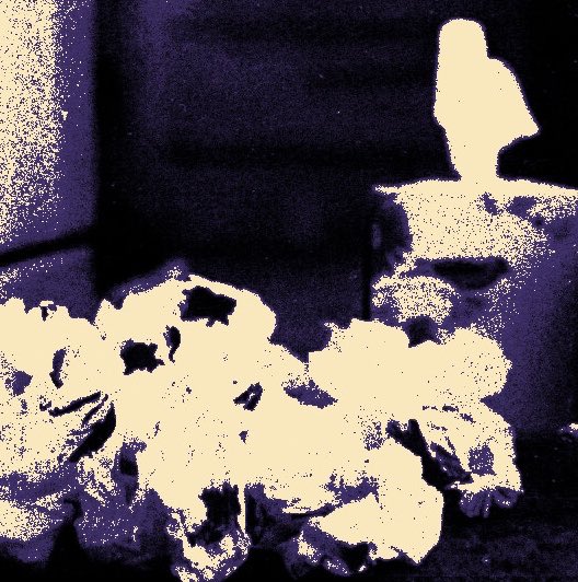 SU͟B͟J͟ECT ‍ ⁰¹¹ ‍ .ᐟ tweet media