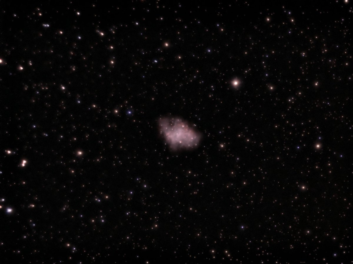 Caltech Astro Outreach tweet media
