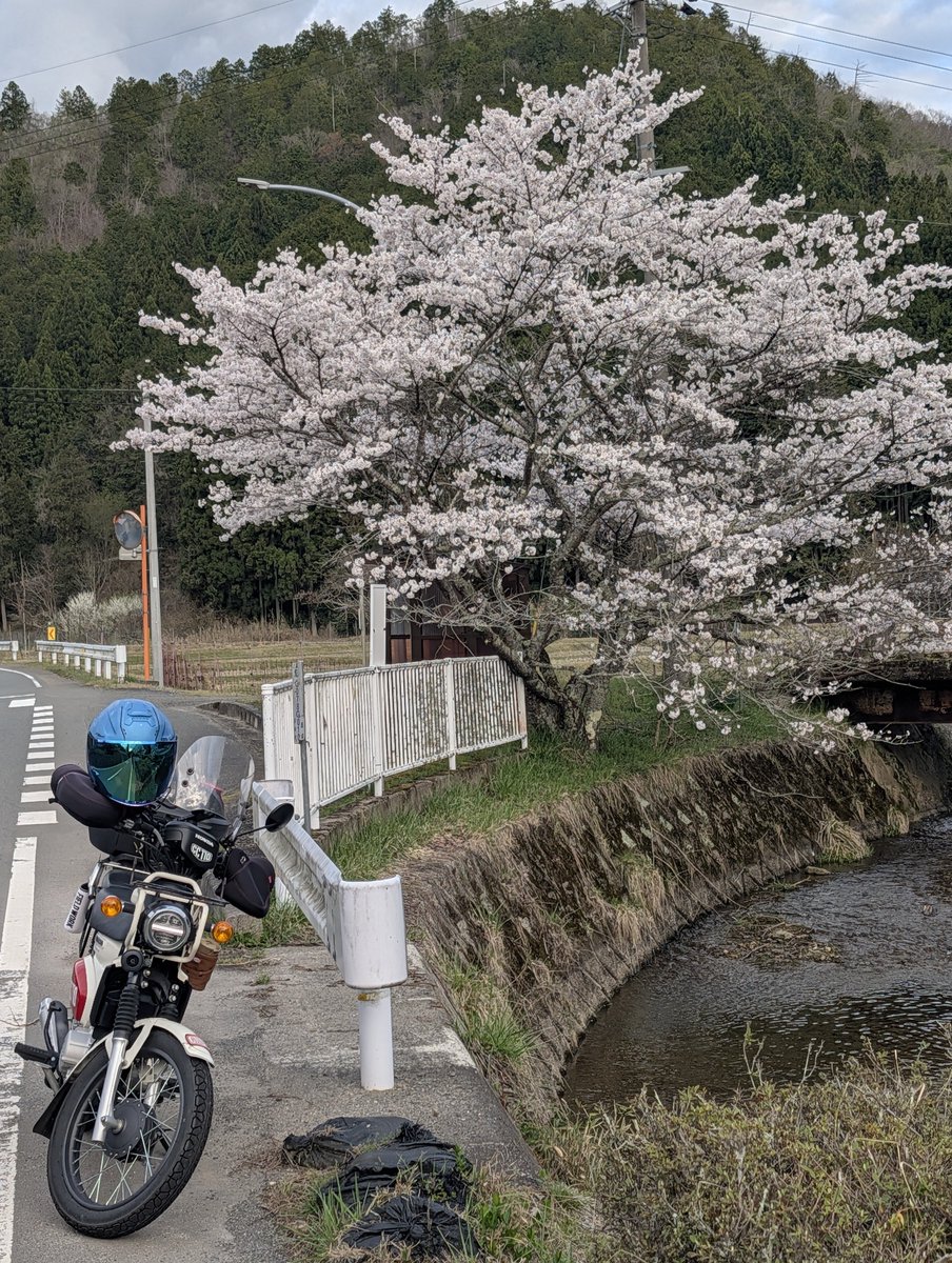 Oz🏕Camp tweet media