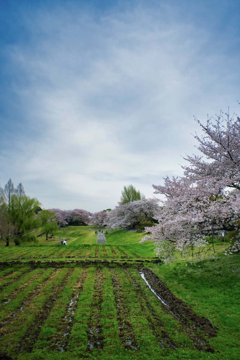 sunyeyes(サニーアイズ) tweet media