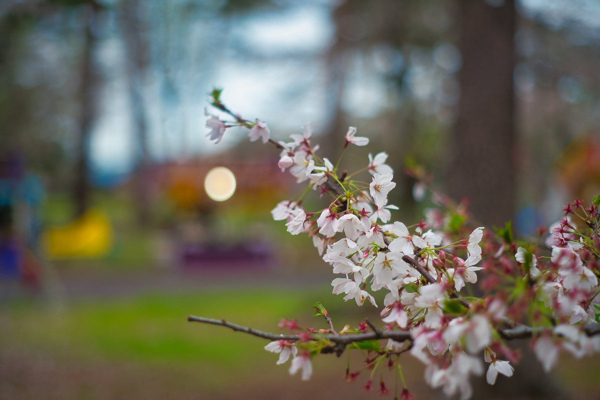 sunyeyes(サニーアイズ) tweet media