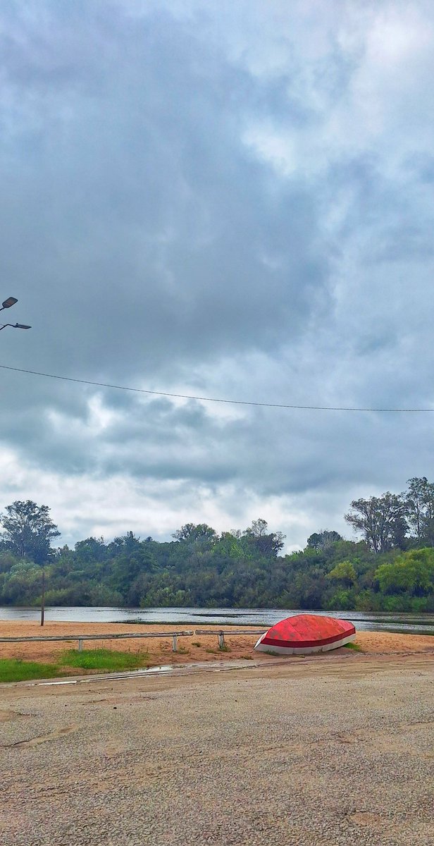 La Agregada tweet media