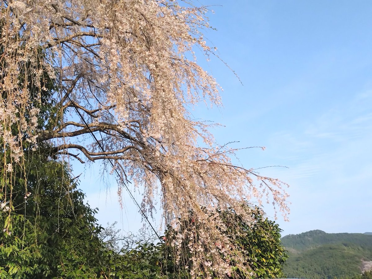 cococonokokoko tweet media