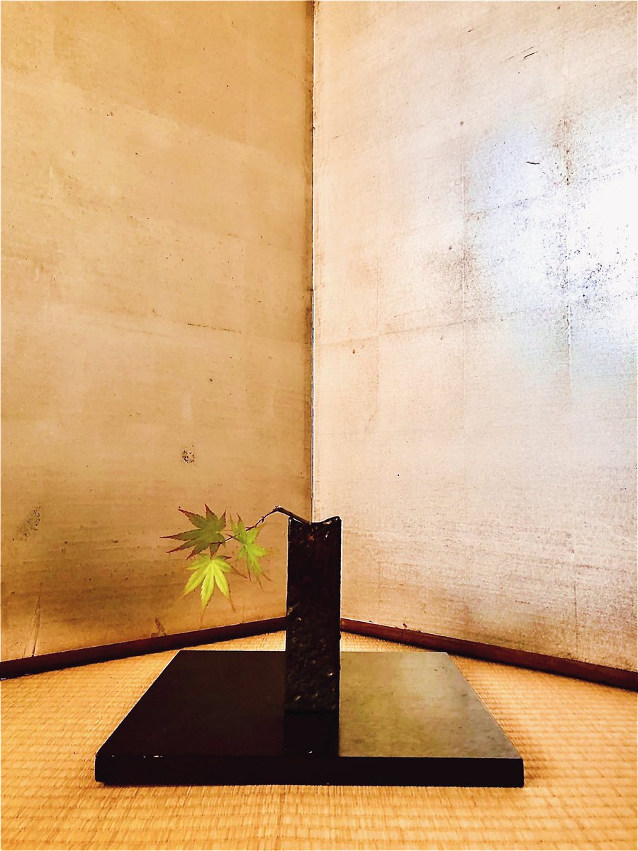 好日画報 tweet media