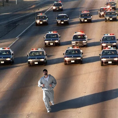 Noot Noot🐧 tweet media