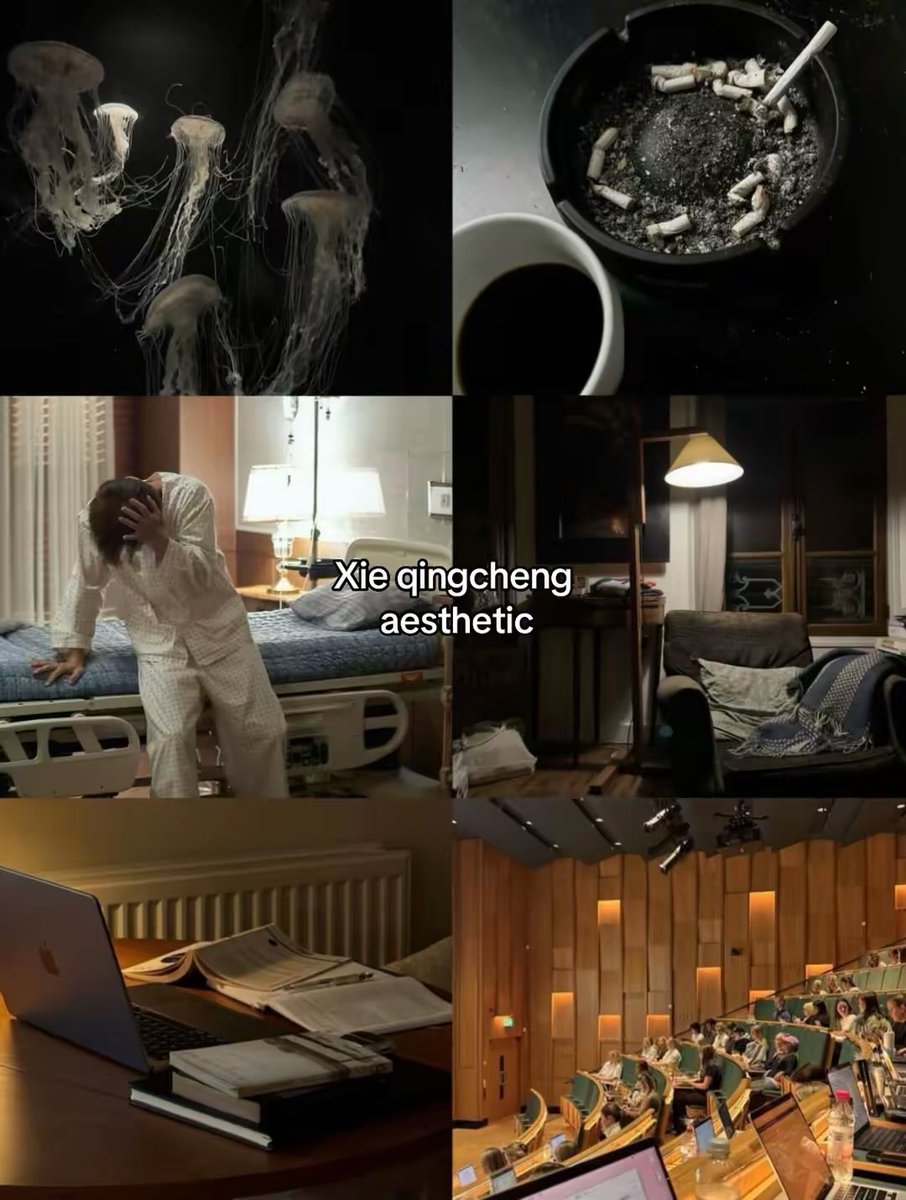 weiwei𑣲 tweet media