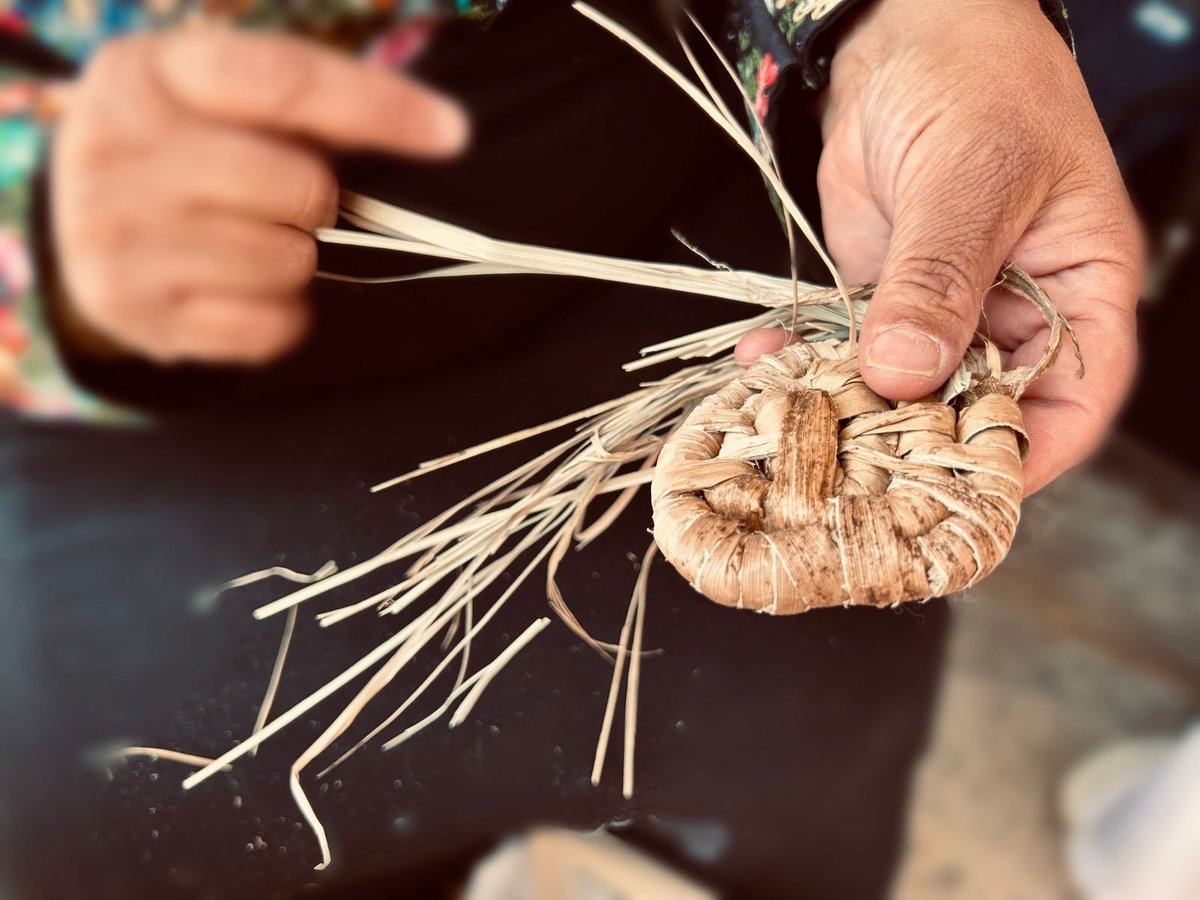 UNESCO Jordan Office tweet media