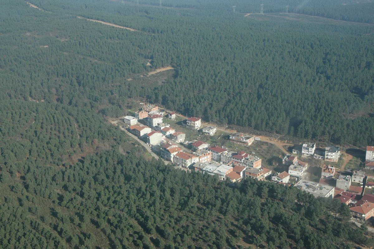 Turhan Çömez tweet media