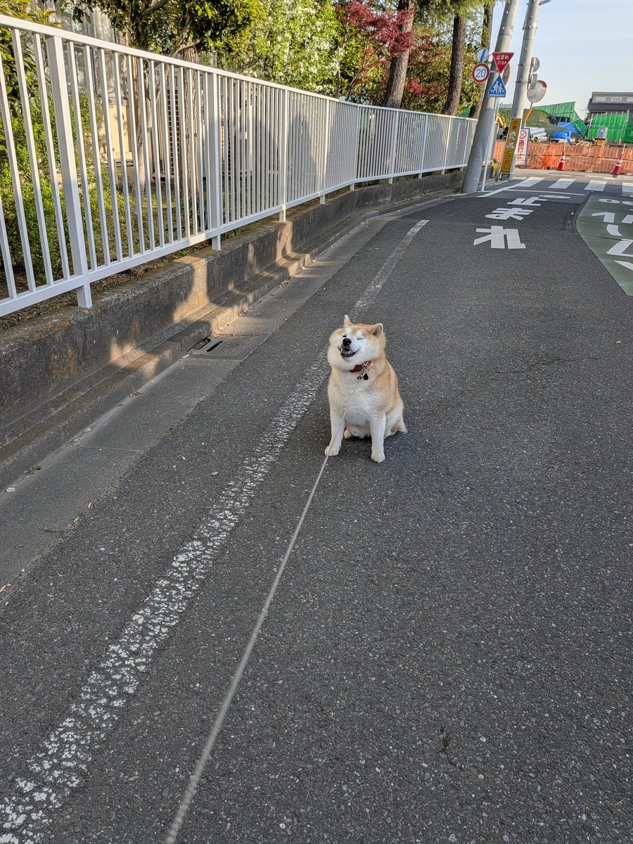 マルちゃん tweet media