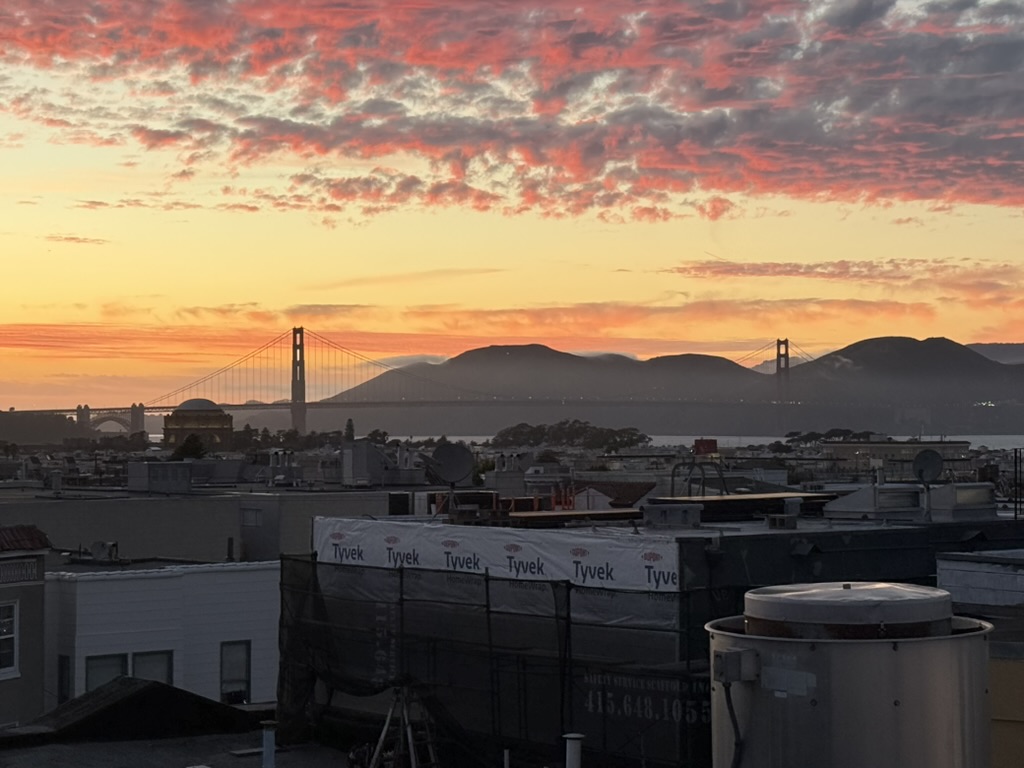 Miles Feldstein tweet media