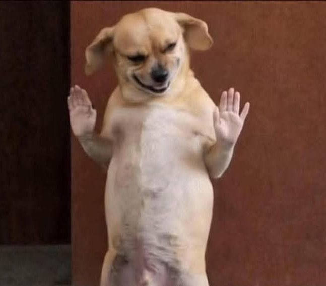 <a href="/kirawontmiss/">kira 👾</a> I ain’t saying he’s right but…