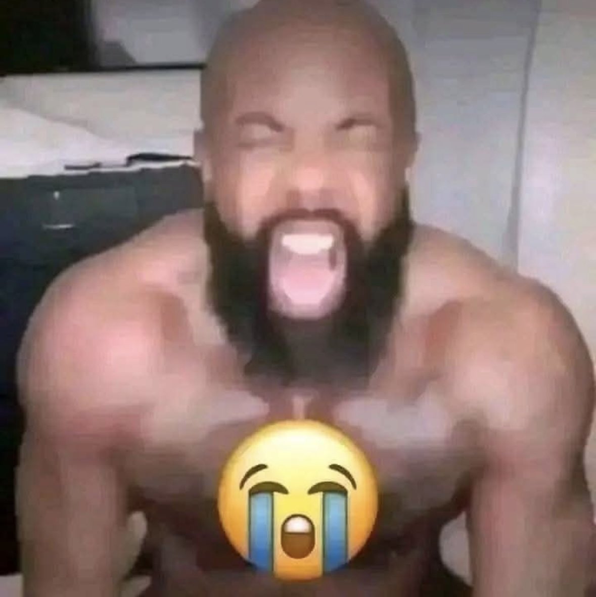 PING PING tweet media