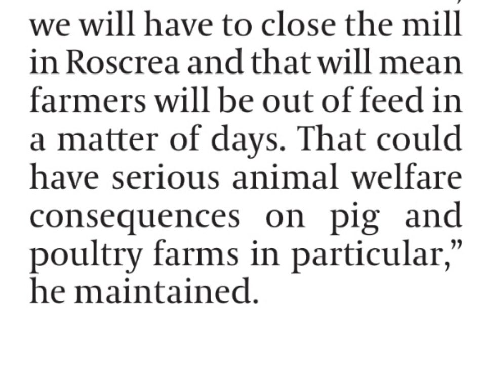 Shane McAuliffe 🐷✈️ tweet media