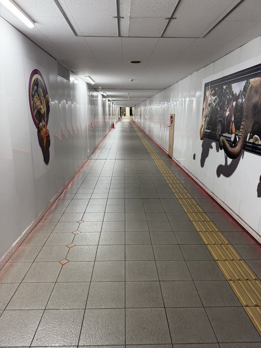 つかさ tweet media