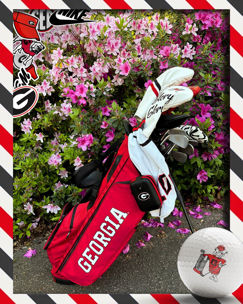 Georgia Women's Golf tweet media