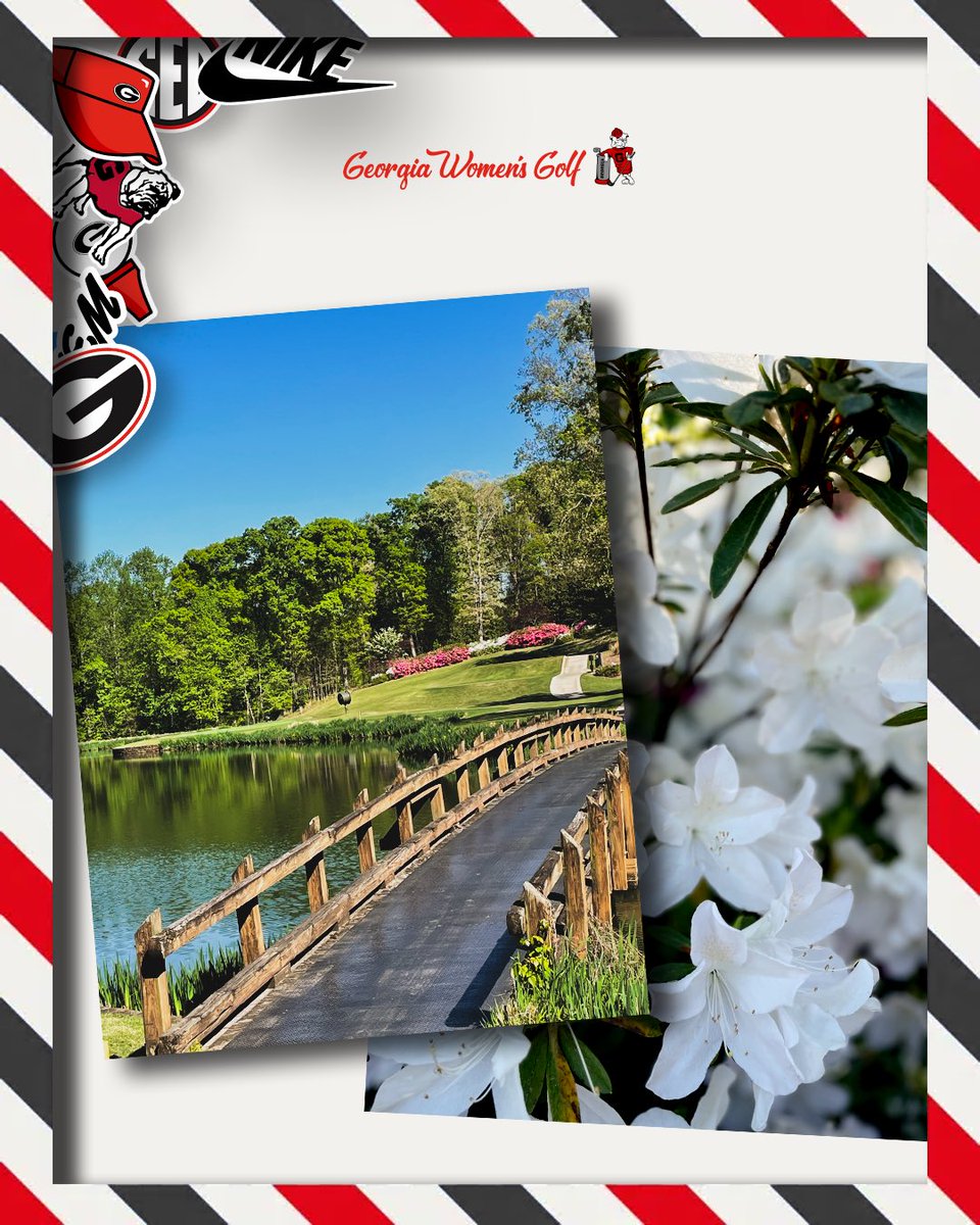 Georgia Women's Golf tweet media