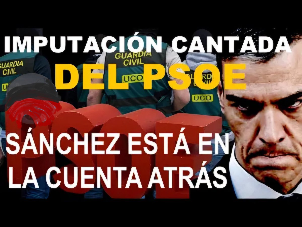 Sinonado 🇪🇸🏊‍♂️ tweet media