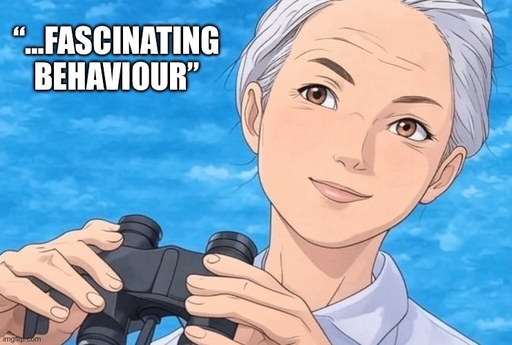 JustGray tweet media