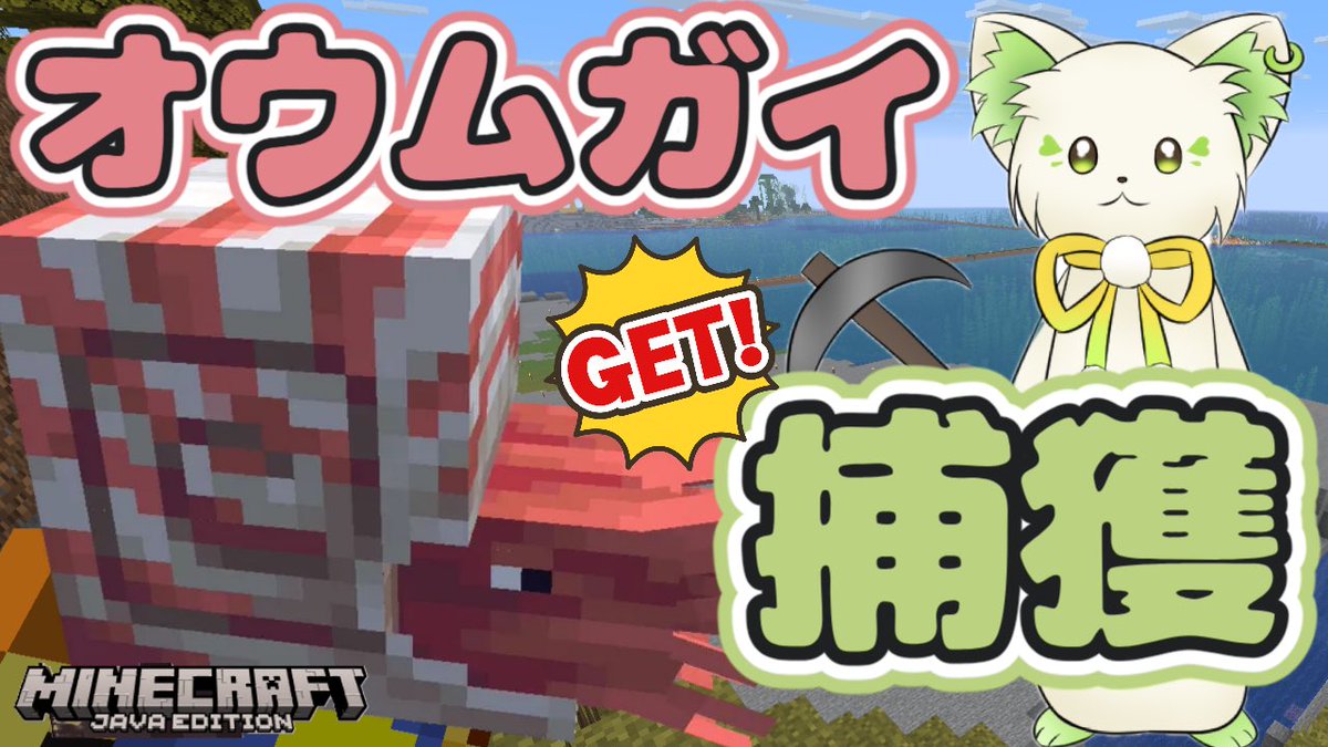 コマチガブ🍔ぶいぱい tweet media