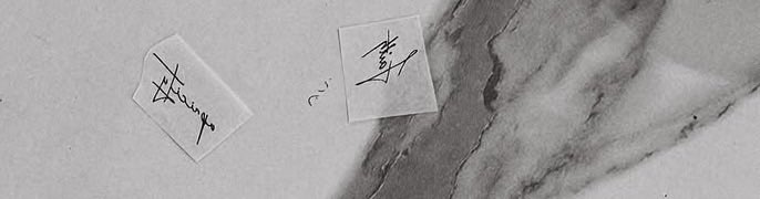 DS 🦋🌸✨ tweet media