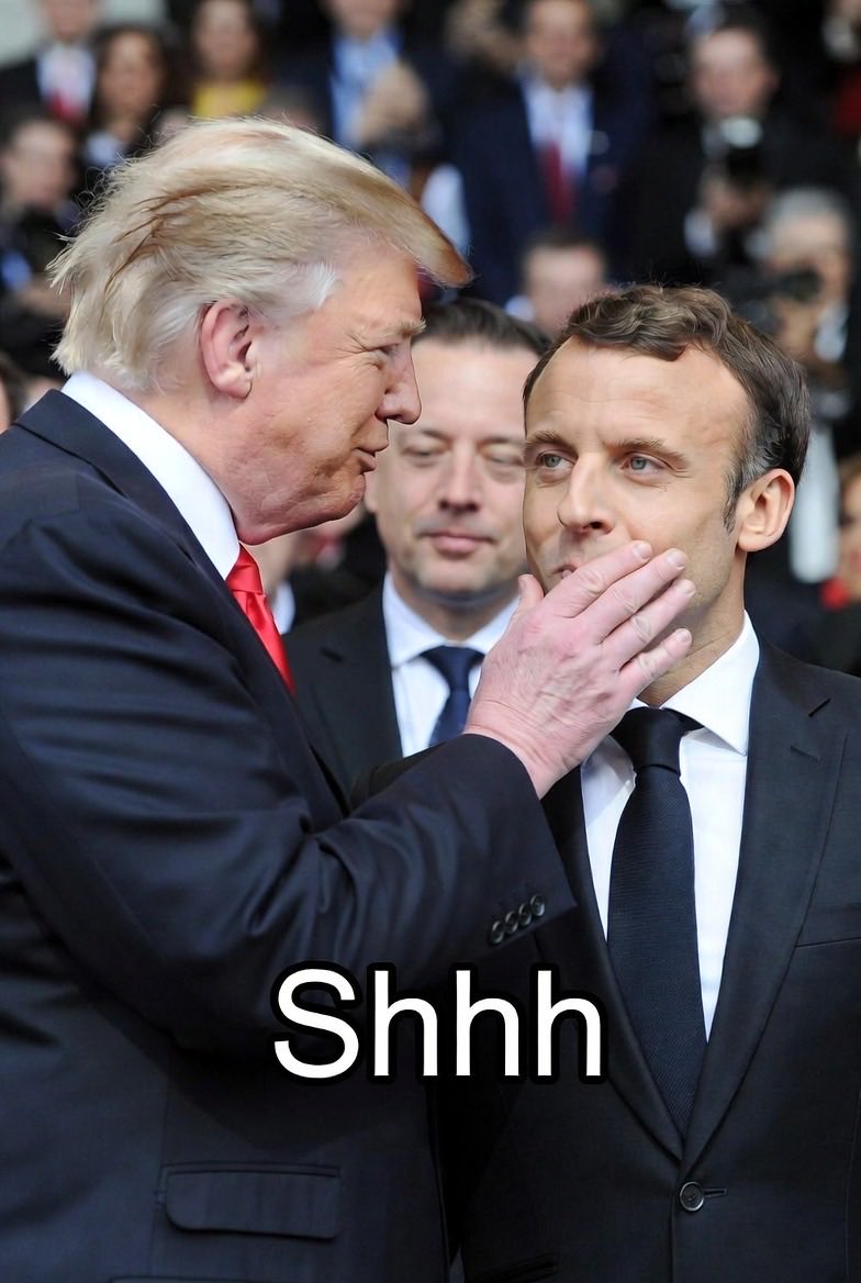 Platinum Patriot🇺🇸 tweet media