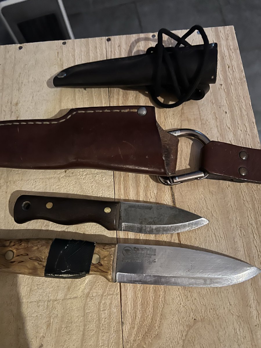 de Heyn Woeste C. tweet media