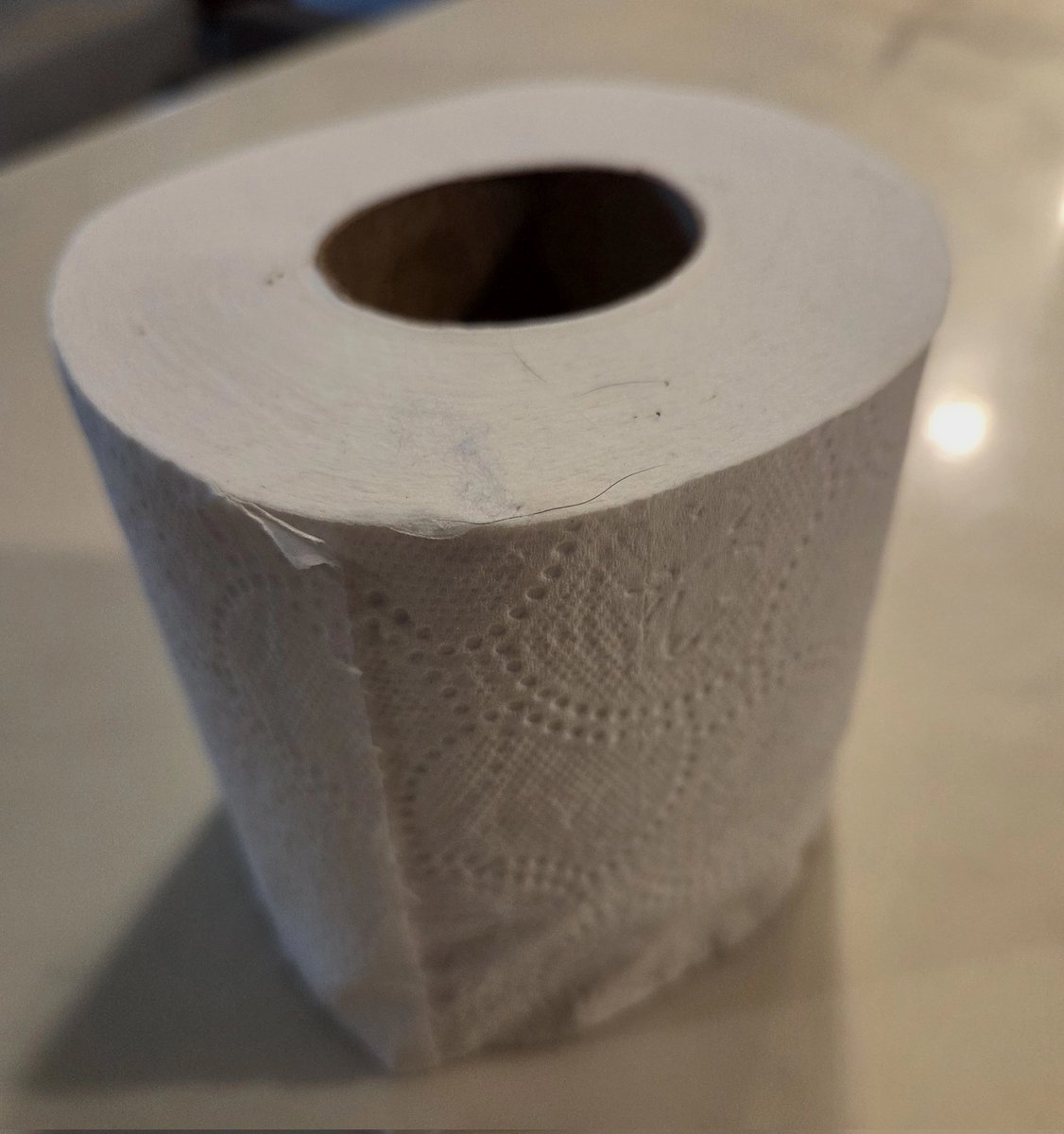 Florida Swamp Puppy tweet media