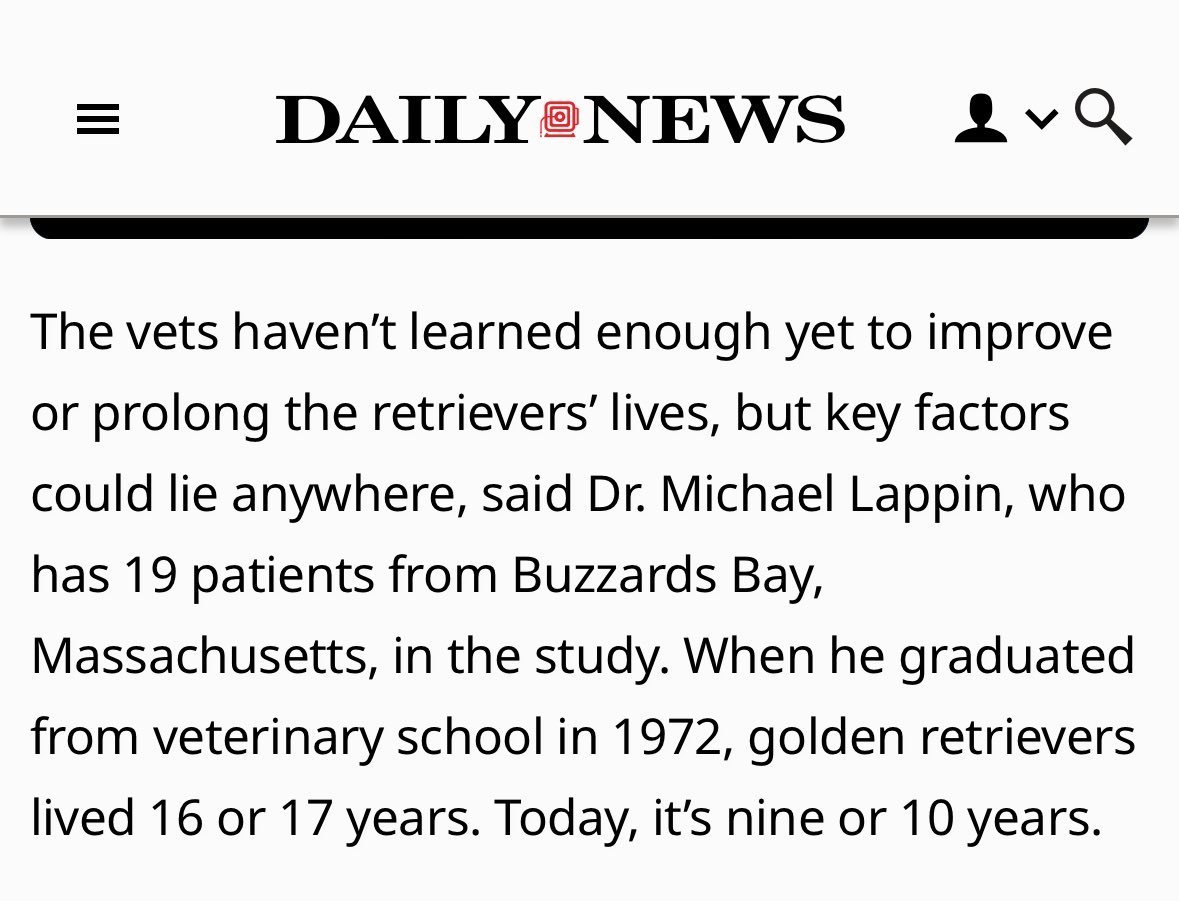 RAW EGG NATIONALIST tweet media