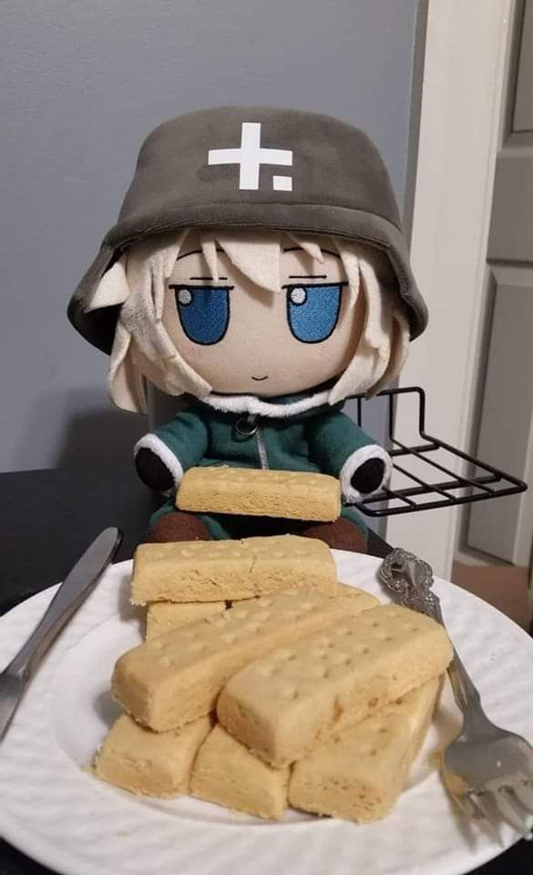 Meow Meow Meow tweet media