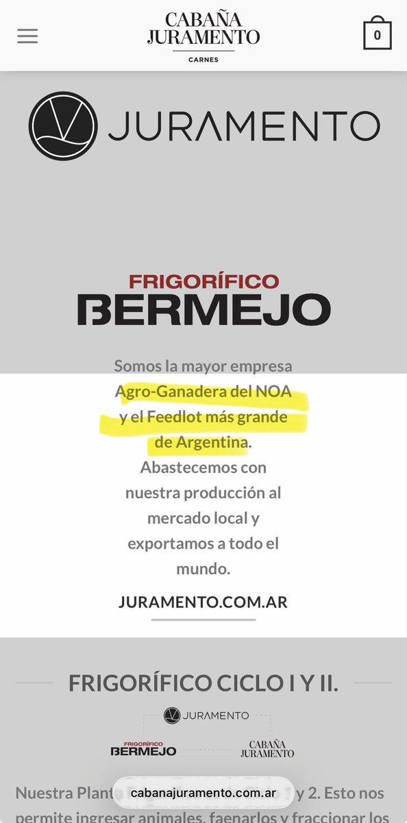 Jordan 🇦🇺 tweet media