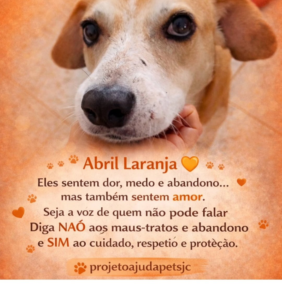 Claudius tweet media