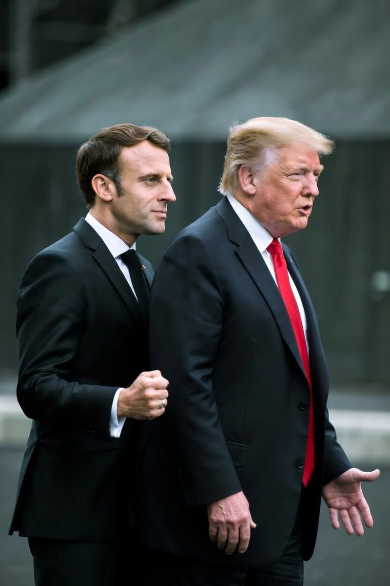 🇺🇸 Lynn tweet media