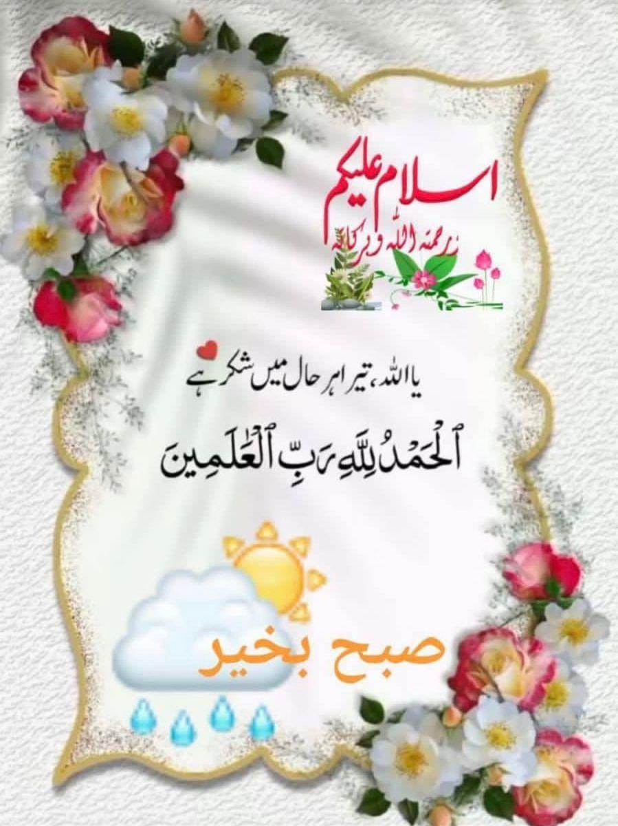 Malik Waqas Shafi 🇵🇰🇵🇸 tweet media